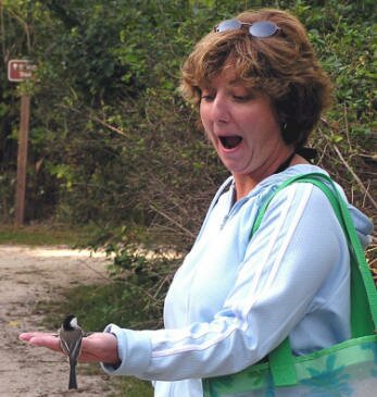 Laurie meets a chickadee